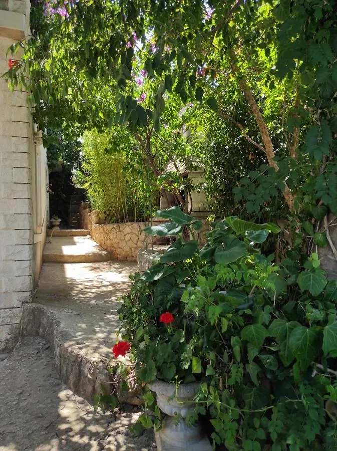 Lejlighed Villa Caroline Trogir